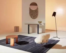 Living Room Rug